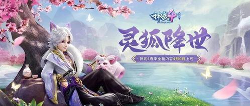 灵狐爆料视频大全最新,揭秘娱乐圈幕后真相